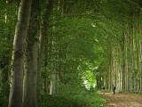L'Arbalète et le Bosmelet