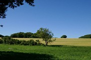 Campagne