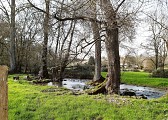 Ruisseau Le Viville