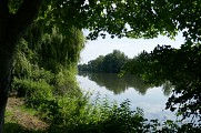 Bord de Charente