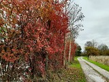 Bord de Charente