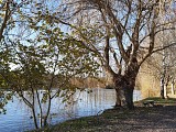 Bord de Charente