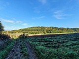 Des Glycines à la Porte Noire