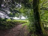 Chemin - La Turgotière VTT - Lacelle 
