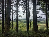 Chemin - La Turgotière - Lacelle 