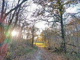 En forêt