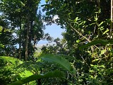 Trace des Monts Caraibes