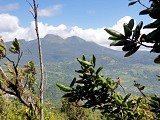 Trace des Monts Caraibes