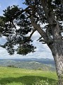 Point de vue sur la vallée de l'Allier et le Velay