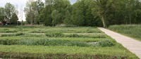 Cressonnières