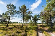 Landes-Millières