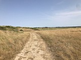 dunes-creances©margaux-choquet (16)