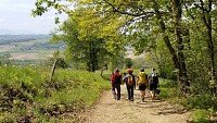 Les coteaux de l'Arros
