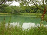 Le Rhône