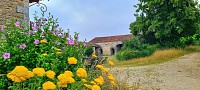 Sentier du Domaine d'Echoisy - Cellettes_Cellettes