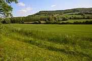408_StThomasPVsurPechGrézac [ItiAqui]