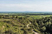 Vue Pyrénées depuis La Liviniere