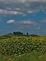 Le Mont Saint-Pierre