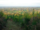 boisdechabannes.jpg_1