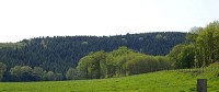 boisdechabannes1.jpg_2