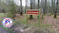 La forêt domaniale de Senonches