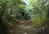 chemin de buis