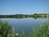 Randoguide les etangs de la Cazine 2.JPG_2