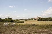 Villespassans prairie chevaux