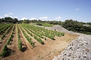 Villespassans vignoble et capitelle 