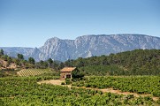 Vignes Mazet Caroux