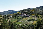 Berlou