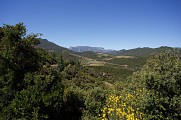 Le Caroux depuis le parcours