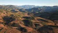 Vignes et Caroux
