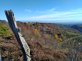 Chemin des chèvres