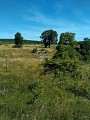 Chemin des chèvres