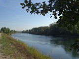 Canal de Jonage