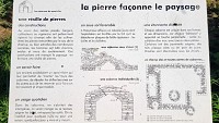 Caborne