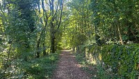 Chemin