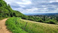 Chemin