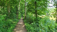 Le parc