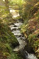 LE TORRENT à Storckensohn (68): Rouge Gazon