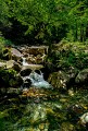 Rivière l'Ars