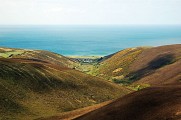 Entre mare et dunes - n°106