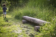 Sentier en forêt