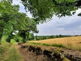 chemin de la Combe Moulède