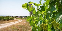 chemin de St Simeux