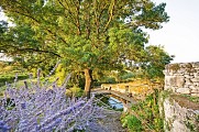 Lavoir du bourg