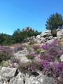 Espinouse_Pr st julien_Th Didoli