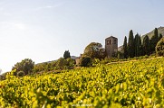 prieure st julien_X ligonnet
