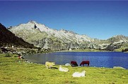 Les lacs du Néouvielle